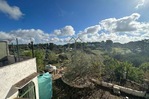 Villa a Ostuni, Brindisi, Ostuni - € 450.000 | Ref: Villa Campanile - foto 40